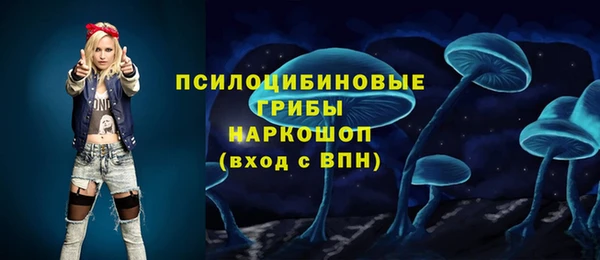 гашик Киренск