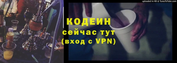 гашик Киренск