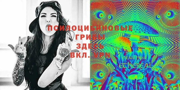 амф Козловка