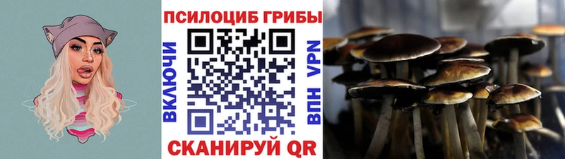 Купить где  Барыш  Галлюциногенные грибы GOLDEN TEACHER 